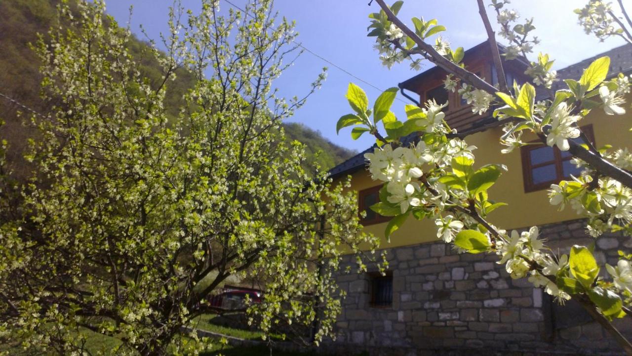 Guest House - Stari Javor B&B Prozor Ngoại thất bức ảnh